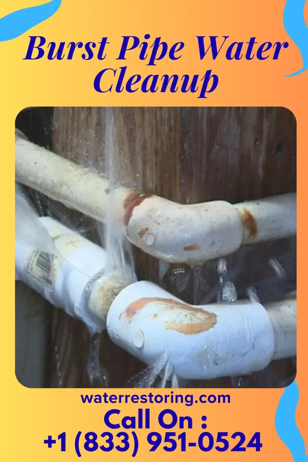 Burst Pipe Water Cleanup in Mantua, OH