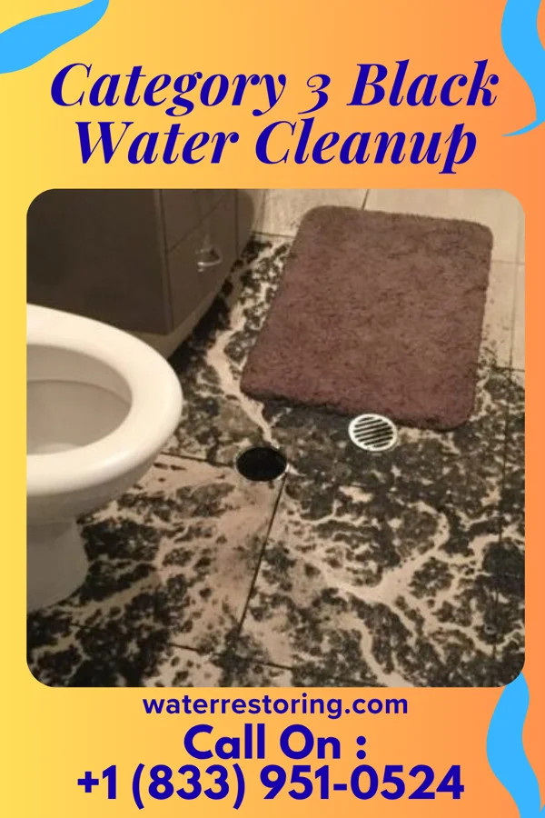 Category 3 Black Water Cleanup in Mantua, OH