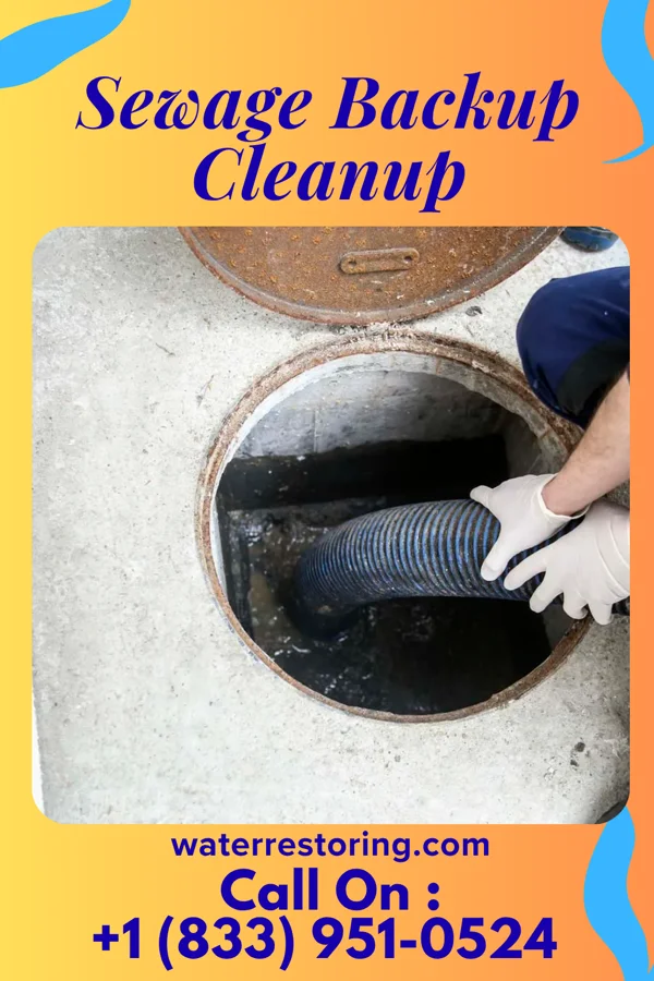 Sewage Backup Cleanup in Mantua, OH
